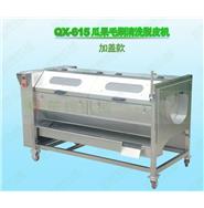 瓜果清洗机/瓜果清洗脱皮机/瓜果毛刷清洗脱皮机QX-615新款(视频)