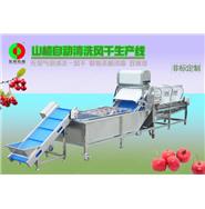 山楂清洗生产线/山楂清洗风干生产线