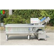 气泡洗菜机\臭氧消毒蔬果清洗机 Q-22A